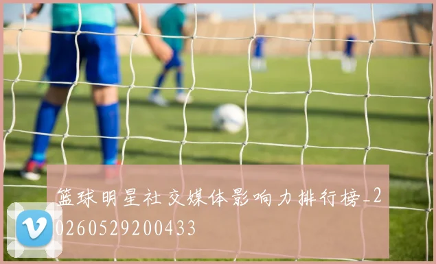 篮球明星社交媒体影响力排行榜_20260529200433