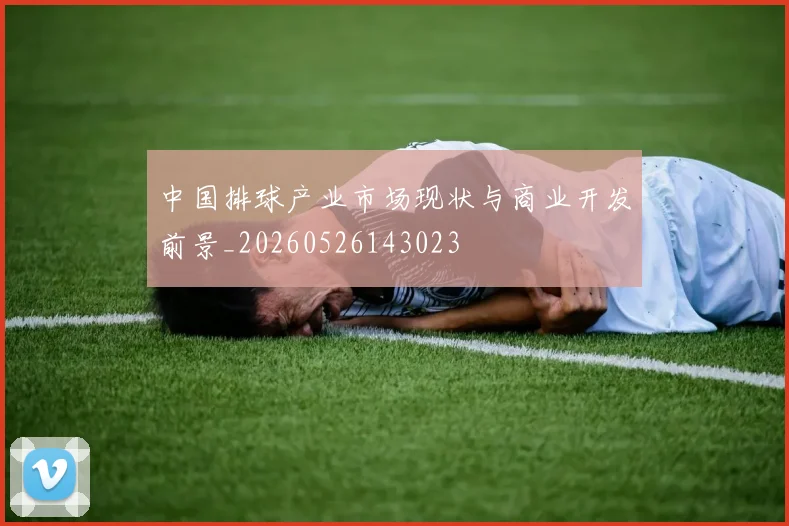 中国排球产业市场现状与商业开发前景_20260526143023